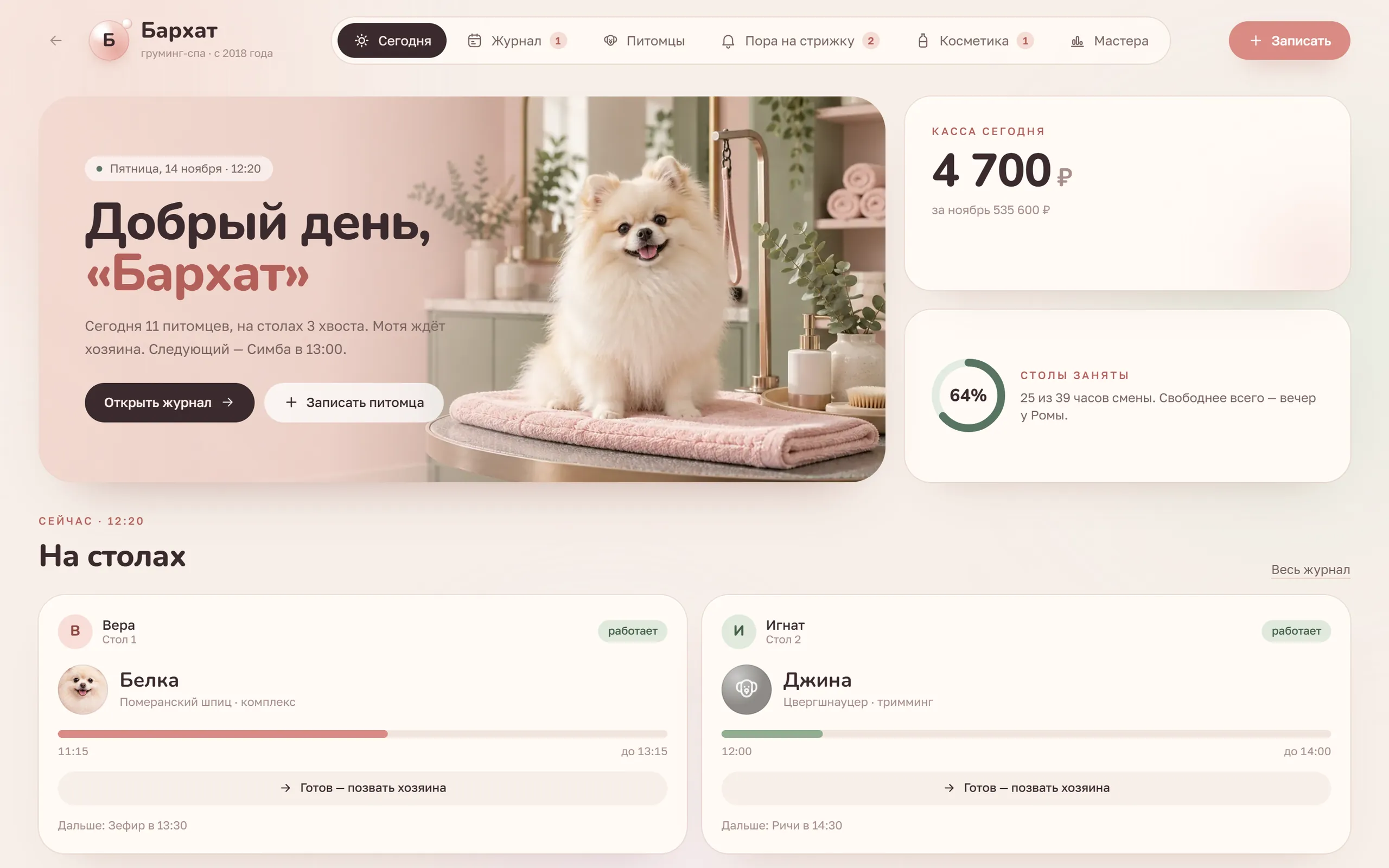 Демоверсия: система для отрасли «груминг» «Бархат»